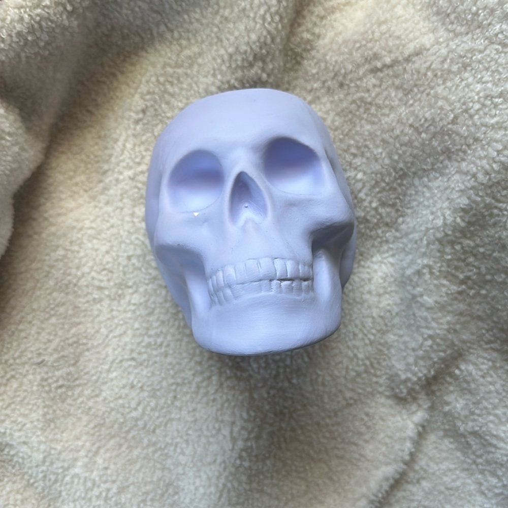 TYPO- Purple Skull Planter
